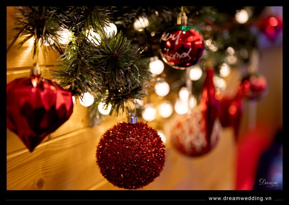 Christmas at Palazzo - 10.jpg
